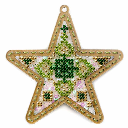 DIY Bead embroidery kit on a plastic base "Christmas star"