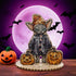 DIY Cross Stitch on Wood Kit "Halloween Cat"