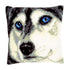 DIY Cross stitch cushion kit "Husky"