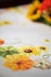 DIY Printed Tablecloth kit "Sunflowers"