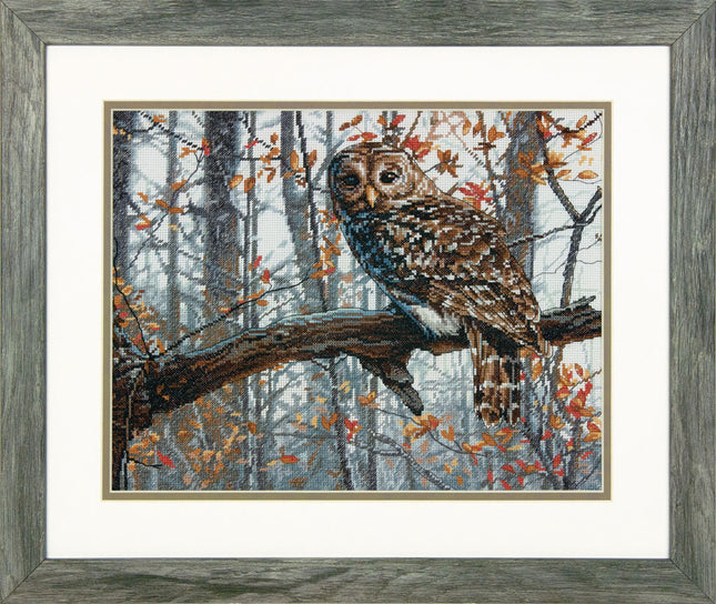 DIY "Wise Owl" 14.0"x11.0"