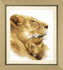 files/vt-046-nab-r-dlya-vishivannya-hrestikom-crystal-art-quot-bezturbotniy-son-quot-images-40612.jpg