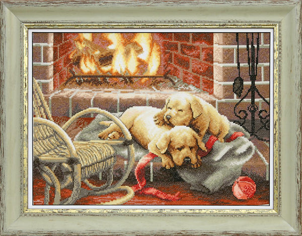 Counted Cross Stitch Kit 