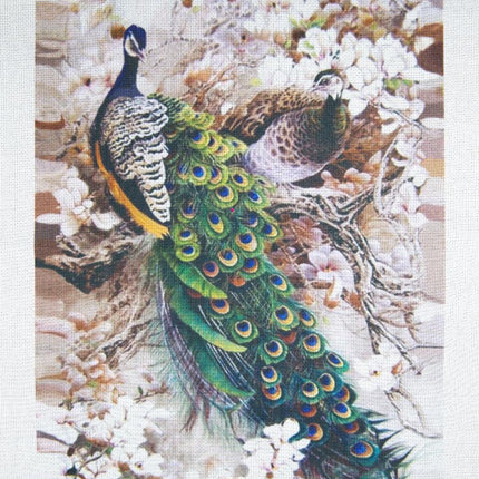 Embellished stitch kit "Two peacocks in blooming magnolia"