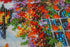 products/04f8bc1d37f0e1072fea22a7c1f00d57.JPG