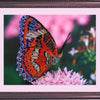 DIY Bead Embroidery Kit "Butterfly" 9.8"x12.6" / 25.0x32.0 cm