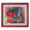 DIY Bead Embroidery Kit "Butterfly" 9.4"x11.0" / 24.0x28.0 cm