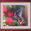 DIY Bead Embroidery Kit "Butterfly" 9.4"x11.0" / 24.0x28.0 cm