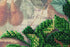 products/147d94943db7f4ba751d61ee207ba286.JPG