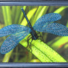 DIY Bead Embroidery Kit "Dragonfly" 8.7"x11.8" / 22.0x30.0 cm