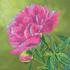 Canvas for bead embroidery "Pink Peony" 11.8"x11.8" / 30.0x30.0 cm