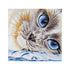 DIY Cross Stitch Kit "Sapphire eyes" 15.7"x15.6"