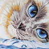 DIY Cross Stitch Kit "Sapphire eyes" 15.7"x15.6"