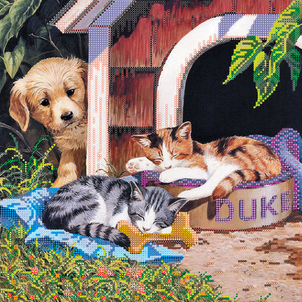 Canvas for bead embroidery "The Uninvited Guests" 11.8"x11.8" / 30.0x30.0 cm