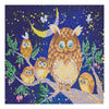 Canvas for bead embroidery "Night birds" 11.8"x11.8" / 30.0x30.0 cm