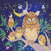 Canvas for bead embroidery "Night birds" 11.8"x11.8" / 30.0x30.0 cm