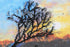 products/1f410e3af36ef24203dfcd66ce6c4094.JPG