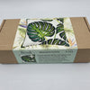 Needlepoint Pillow Kit "Monstera Leaves"