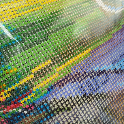 Needlepoint Kit "Still Life with a Disk" 19.7"x31.5"
