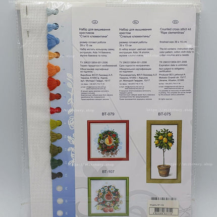 Counted Cross Stitch Kit "Ripe clementinas"
