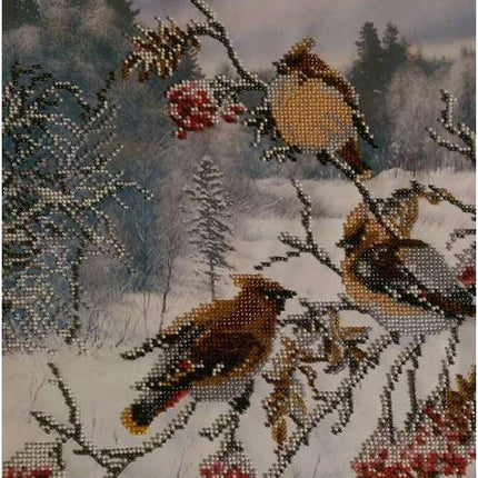 Canvas for bead embroidery "Waxbirds" 11.8"x11.8" / 30.0x30.0 cm