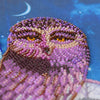 DIY Bead Embroidery Kit "On the wings of the night" 13.4"x10.2" / 34.0x26.0 cm