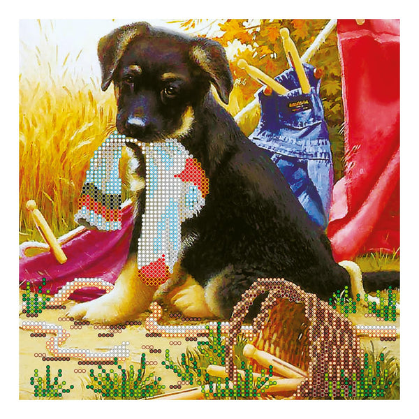 Canvas for bead embroidery "Young dog" 7.9"x7.9" / 20.0x20.0 cm