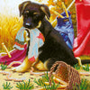 Canvas for bead embroidery "Young dog" 7.9"x7.9" / 20.0x20.0 cm