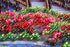products/46685e6b44d400b2775b938639a17e98.JPG