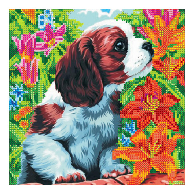 Canvas for bead embroidery "Puppy" 7.9"x7.9" / 20.0x20.0 cm