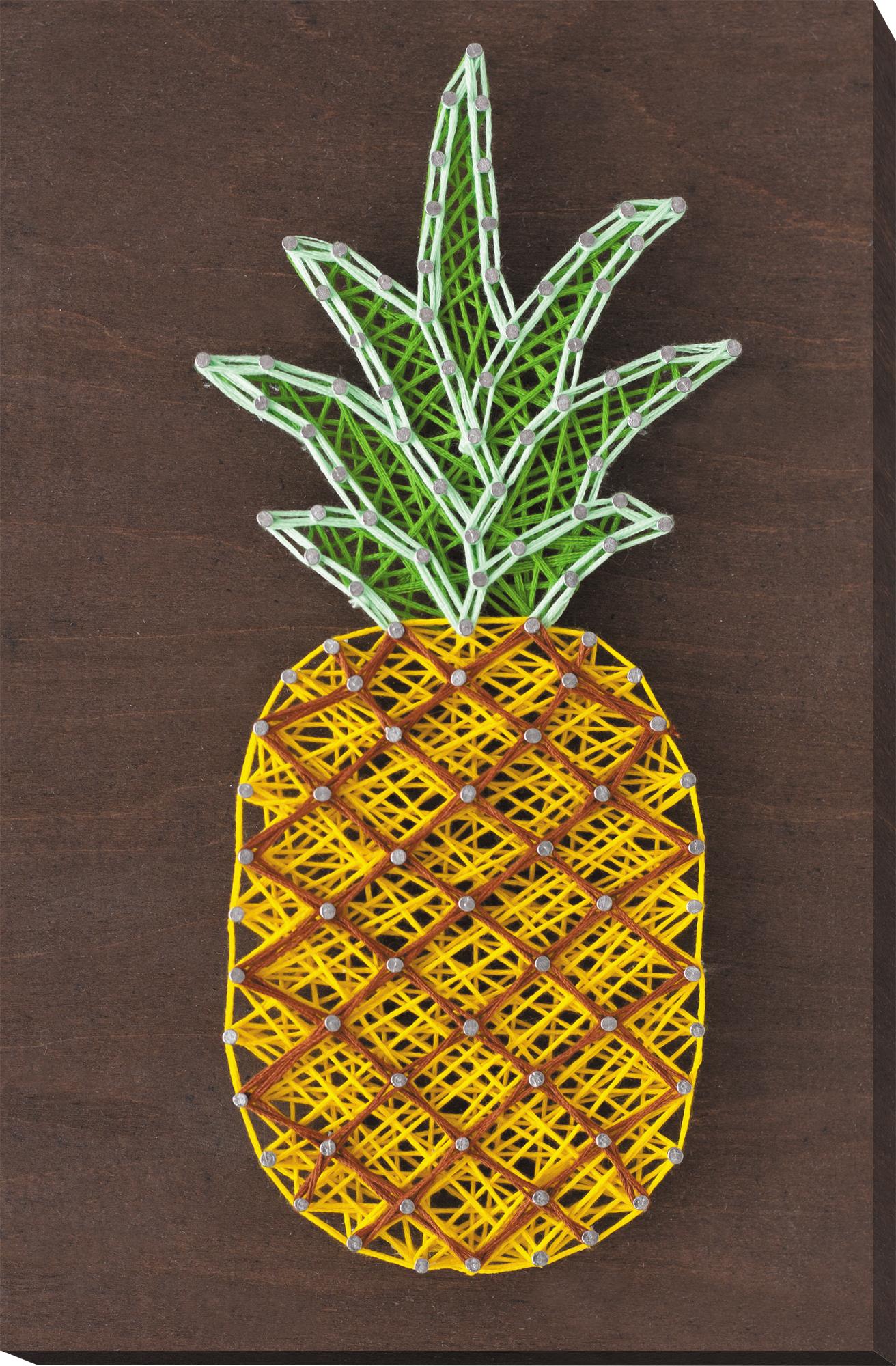 Pineapple String Art Pineapple Crafts String Art Kits for Adults DIY Kit  for Women Girls Night Craft Easy String Art 
