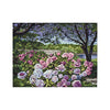 DIY Cross Stitch Kit "Garden peonies" 18.7"x14.4"