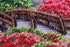 products/5106ab0d59a3566d1b8da7ec0526c98c.JPG