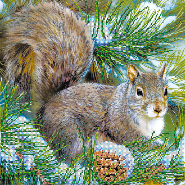 Canvas for bead embroidery "Squirrel" 11.8"x11.8" / 30.0x30.0 cm