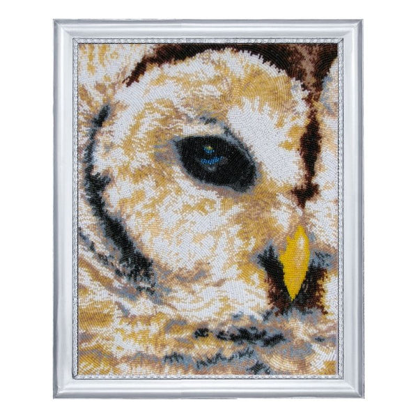 DIY Bead Embroidery Kit "Glance of the Owl" 13.0"x10.2" / 33.0x26.0 cm