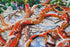 products/6a9a165d6b61ae4ae71a2a9e653edd3e.JPG