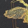 DIY Cross Stitch Kit "Golden Beetle" 5.5"x7.1"
