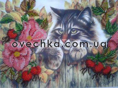 Canvas for bead embroidery "Fluffy Robber" 11.8"x11.8" / 30.0x30.0 cm
