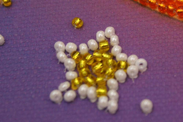 DIY Bead Embroidery Kit 