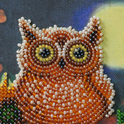 DIY Bead Embroidery Kit "Night guest"  5.9"x5.9" / 15.0x15.0 cm