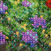 DIY Bead Embroidery Kit "Wild field"  5.9"x5.9" / 15.0x15.0 cm