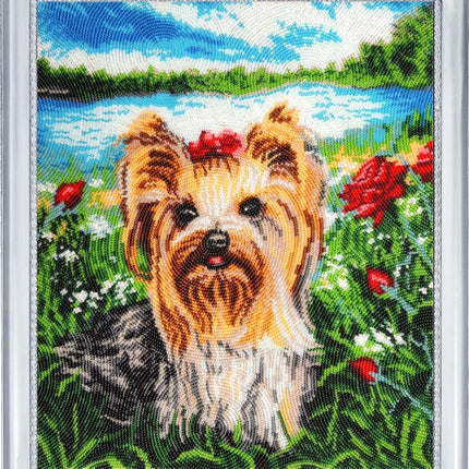 DIY Bead Embroidery Kit "Cutie Yorkshire" 12.6"x11.0" / 32.0x28.0 cm