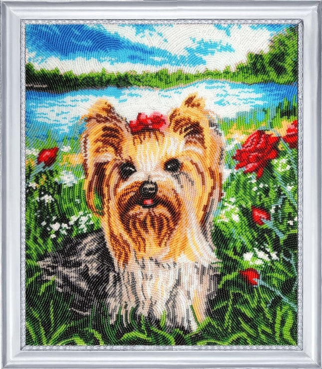 DIY Bead Embroidery Kit "Cutie Yorkshire" 12.6"x11.0" / 32.0x28.0 cm