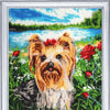 DIY Bead Embroidery Kit "Cutie Yorkshire" 12.6"x11.0" / 32.0x28.0 cm