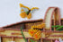 products/9bb7ab7a1ca6a1f5b0c20a71d181731c.JPG