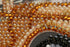 products/AM055_1.JPG