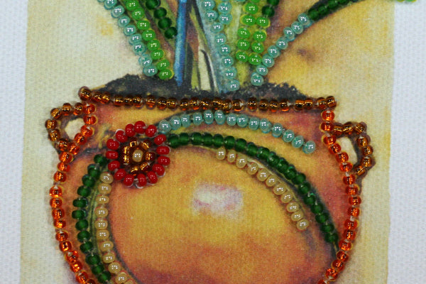 DIY Bead embroidery postcard kit 