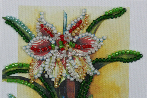 DIY Bead embroidery postcard kit 