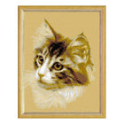 Needlepoint Canvas 