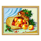 Needlepoint Canvas 